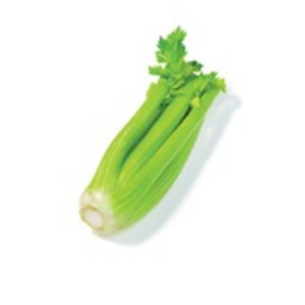 AGF bleekselderij 500 GR