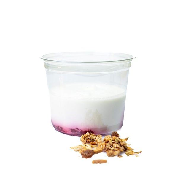 BLOEMCOO quark raspberries granola 225 GR