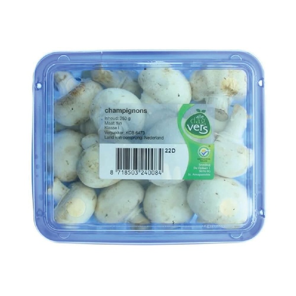 CHAMPIGNON WIT 250GR