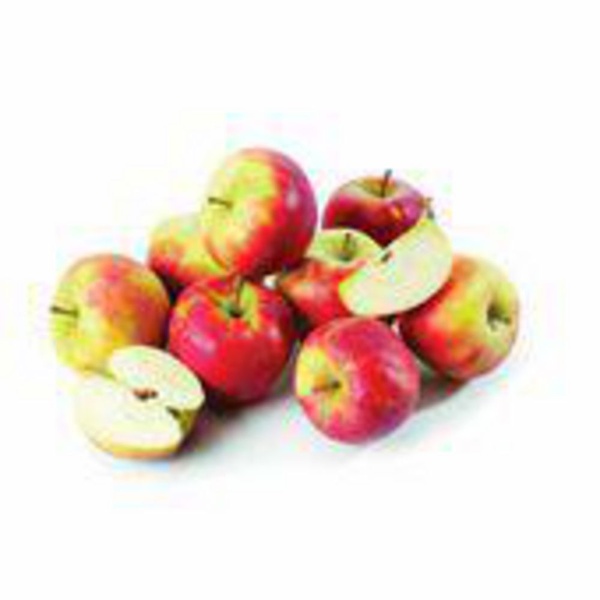 appel elstar 1.5kg tas